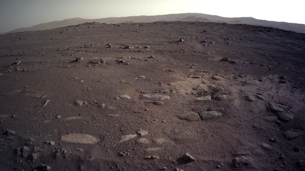 Mars Surface